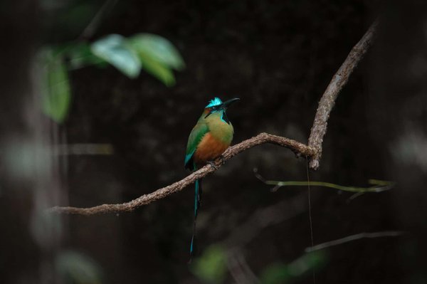Pourquoi et comment cesser de fumer ?