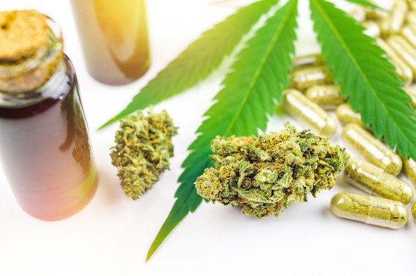 Comment prendre les fleurs de chanvre ?